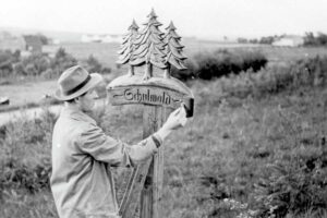 Entstehung Schulwald